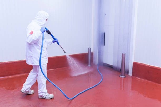 Best Building Exterior Washing  in Harrisville, UT